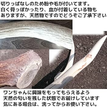 S*i様 蝦夷鹿の角 エゾシカ角 まとめ売り 北海道 ゴールデンカムイ １８本 S*i様 蝦夷鹿の角 エゾシカ角 まとめ売り 北海道 ゴールデン